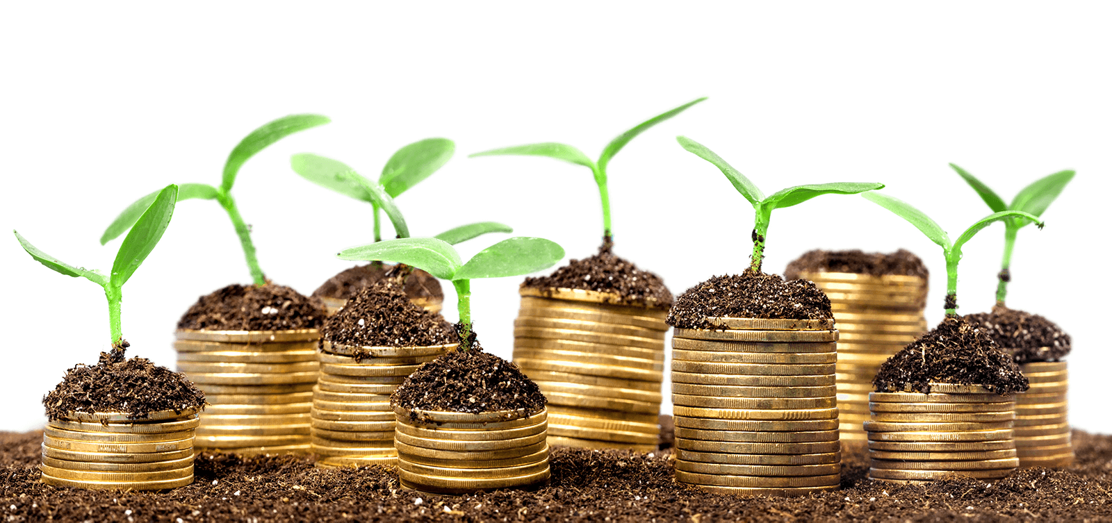 ways to build wealth moneysoil